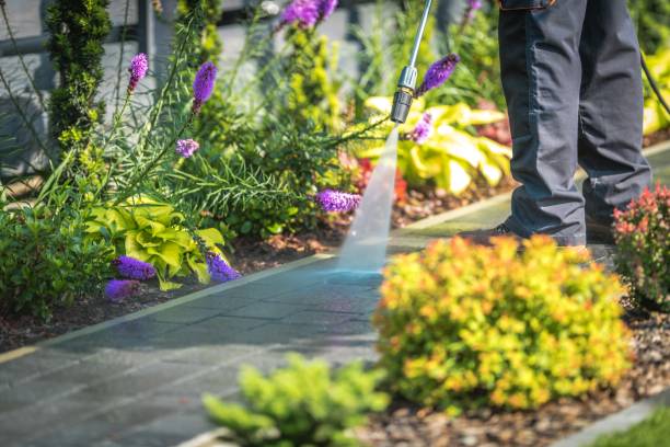 Best Sidewalk and Walkway Cleaning  in Natalbany, LA